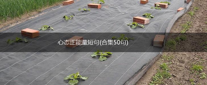 心态正能量短句(合集50句),第1张