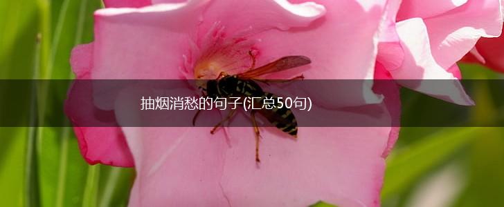 抽烟消愁的句子(汇总50句),第1张