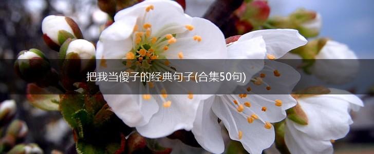 把我当傻子的经典句子(合集50句),第1张