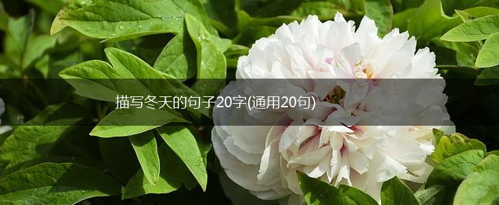 描写冬天的句子20字(通用20句),第1张