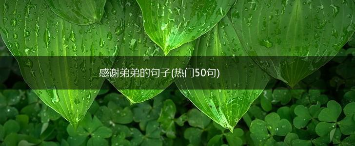 感谢弟弟的句子(热门50句),第1张