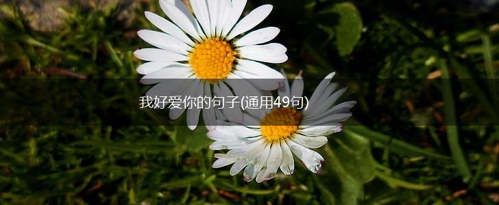 我好爱你的句子(通用49句),第1张