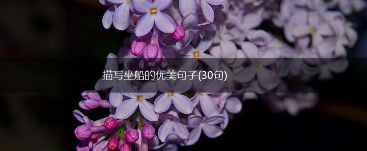 描写坐船的优美句子(30句),第1张