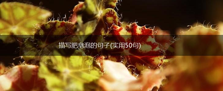 描写肥皂泡的句子(实用50句),第1张