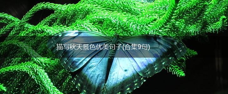 描写秋天景色优美句子(合集9句),第1张