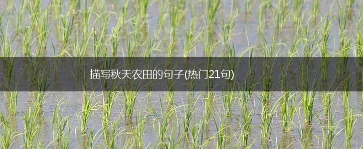 描写秋天农田的句子(热门21句),第1张