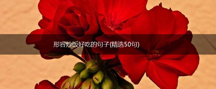 形容炒饭好吃的句子(精选50句),第1张