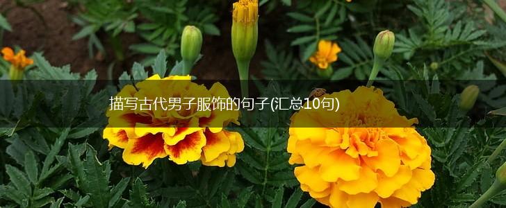 描写古代男子服饰的句子(汇总10句),第1张