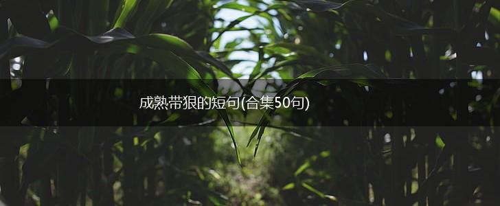 成熟带狠的短句(合集50句),第1张