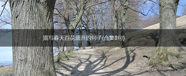 描写春天百花盛开的句子(合集8句),第1张