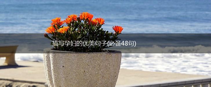 描写孕妇的优美句子(必备48句),第1张
