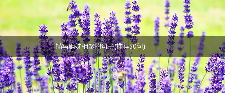 描写姐妹相聚的句子(推荐50句),第1张