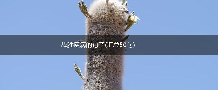 战胜疾病的句子(汇总50句),第1张