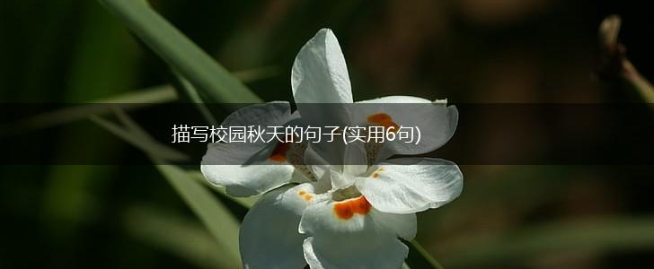 描写校园秋天的句子(实用6句),第1张