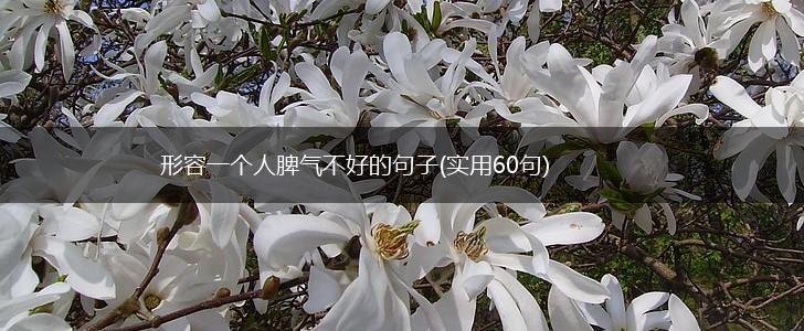 形容一个人脾气不好的句子(实用60句),第1张