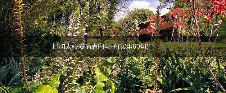 打动人心爱情表白句子(实用60句),第1张