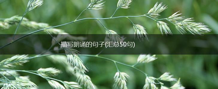 描写朗诵的句子(汇总50句),第1张