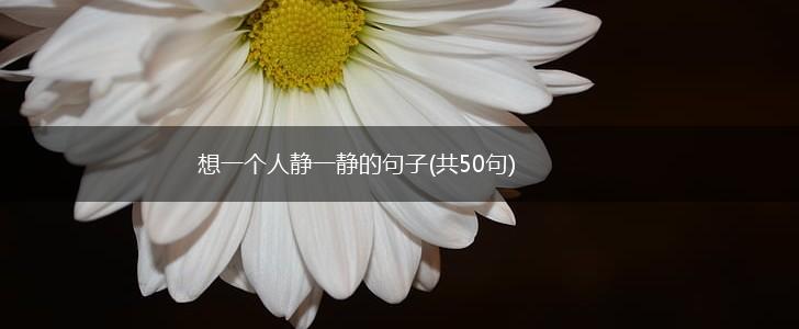 想一个人静一静的句子(共50句),第1张