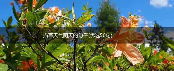 描写天气阴天的句子(优选50句),第1张