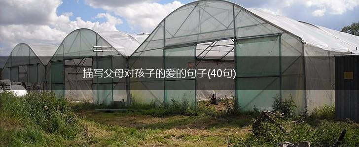 描写父母对孩子的爱的句子(40句),第1张