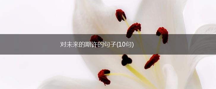 对未来的期许的句子(10句),第1张