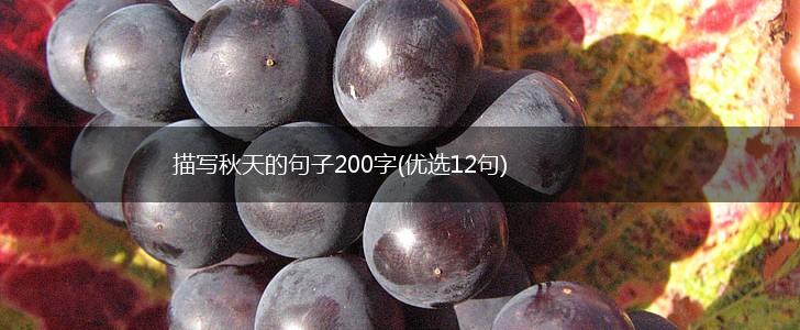 描写秋天的句子200字(优选12句),第1张