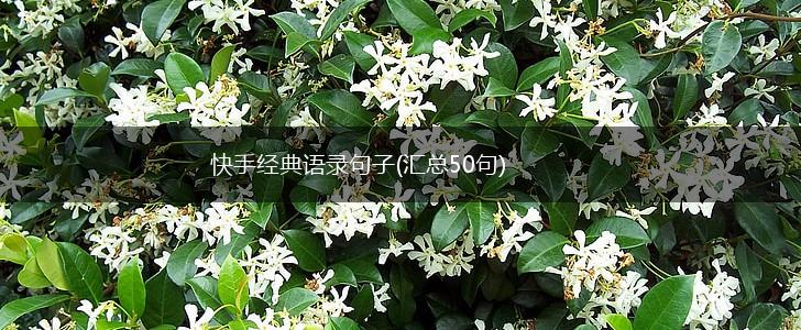 快手经典语录句子(汇总50句),第1张