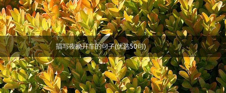 描写夜晚开车的句子(优选50句),第1张