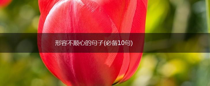 形容不顺心的句子(必备10句),第1张 形容不顺心的句子(必备10句),第1张