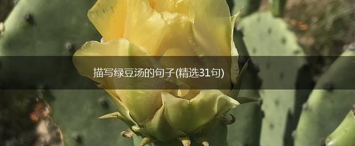描写绿豆汤的句子(精选31句),第1张
