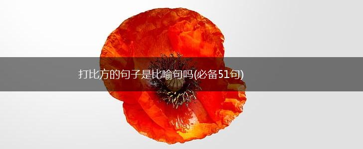 打比方的句子是比喻句吗(必备51句),第1张