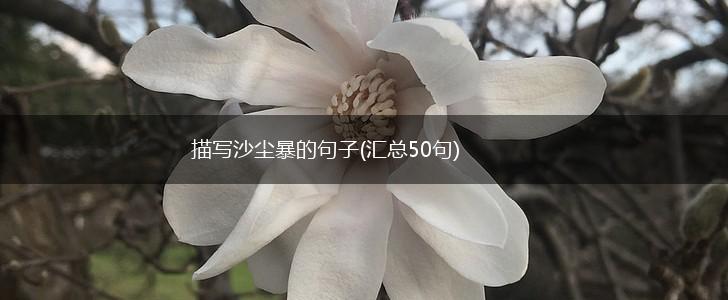 描写沙尘暴的句子(汇总50句),第1张