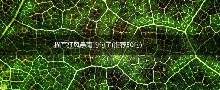 描写狂风暴雨的句子(推荐50句),第1张