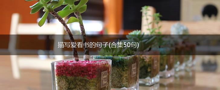 描写爱看书的句子(合集50句),第1张