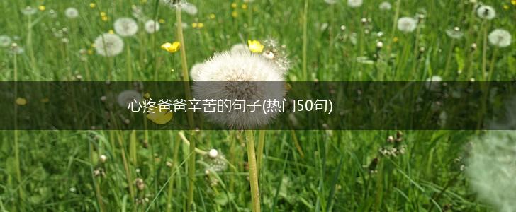 心疼爸爸辛苦的句子(热门50句),第1张 心疼爸爸辛苦的句子(热门50句),第1张