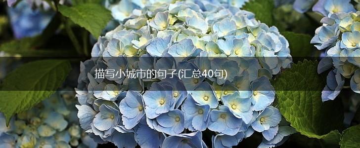 描写小城市的句子(汇总40句),第1张