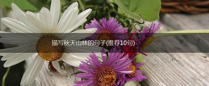 描写秋天山林的句子(推荐10句),第1张 描写秋天山林的句子(推荐10句),第1张