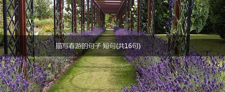 描写春游的句子 短句(共16句),第1张