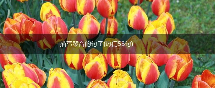 描写琴音的句子(热门53句),第1张