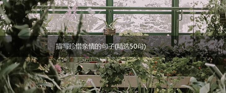 描写珍惜亲情的句子(精选50句),第1张