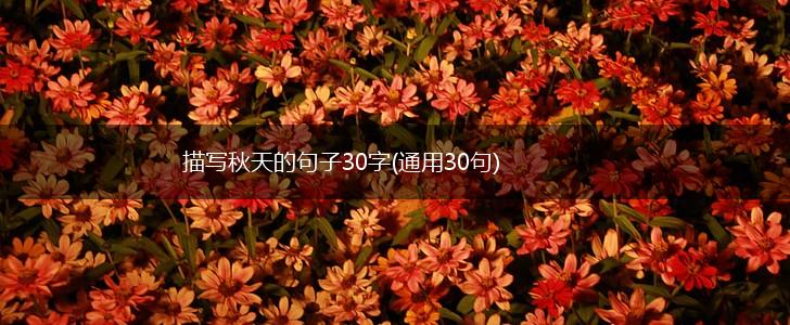 描写秋天的句子30字(通用30句),第1张