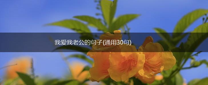 我爱我老公的句子(通用30句),第1张
