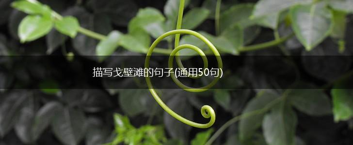 描写戈壁滩的句子(通用50句),第1张