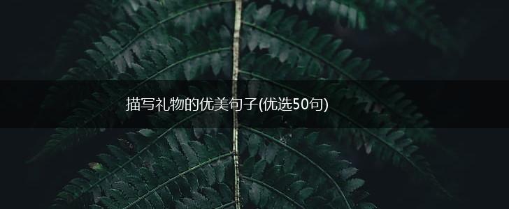 描写礼物的优美句子(优选50句),第1张