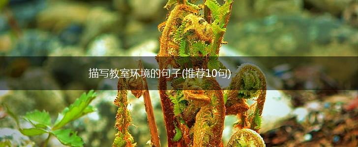 描写教室环境的句子(推荐10句),第1张 描写教室环境的句子(推荐10句),第1张