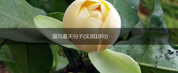 描写春天句子(实用10句),第1张