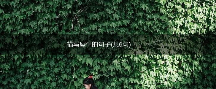 描写犀牛的句子(共6句),第1张