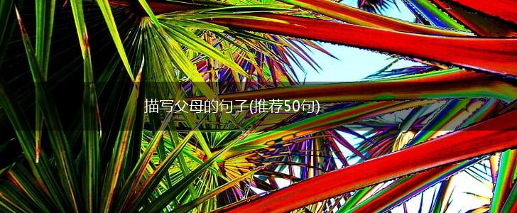 描写父母的句子(推荐50句),第1张