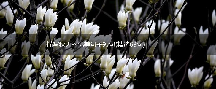 描写秋天的优美句子短句(精选63句),第1张 描写秋天的优美句子短句(精选63句),第1张