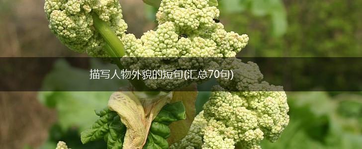 描写人物外貌的短句(汇总70句),第1张
